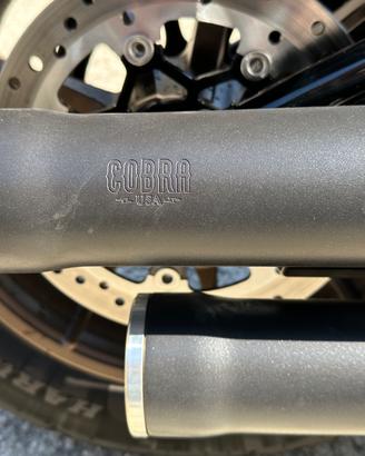 TERMINALI COBRA x HD LOW RIDER S