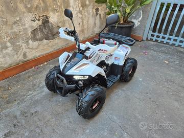 Quad benzina mudhawk ata 110