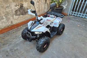 Quad benzina mudhawk ata 110