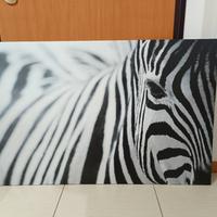 Quadro Zebra