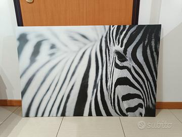 Quadro Zebra