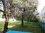 Immagine 14