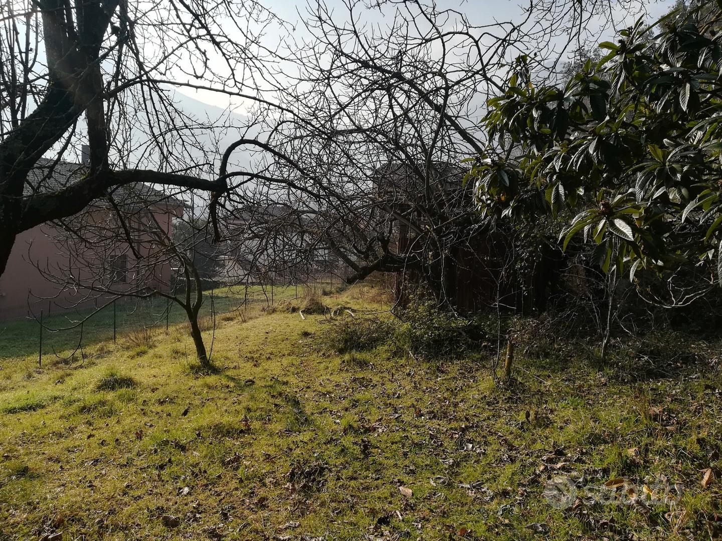 Vendita terreno edificabile Supino - Vista 4