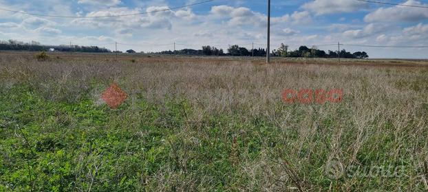 Terreno Agricolo Brindisi [Cod. rif 3191450VRG]