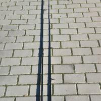 Canna carpfishing Mitchell 12ft 3lb