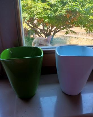vasi consegna a mano Lucera foggia 