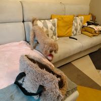 borsetta cuccioli 