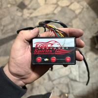 Free Spirits - Harley-Davidson Sportster 883/1200