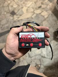 Free Spirits - Harley-Davidson Sportster 883/1200