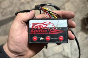 Free Spirits - Harley-Davidson Sportster 883/1200