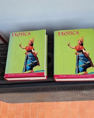 Graf Exotica serie 4