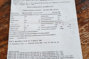 Motore entrfuoribordo