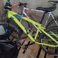 Bici da corsa + MTB