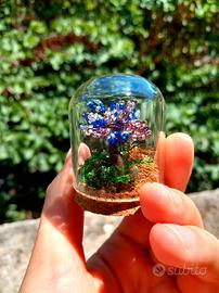 Bonsai di mezza stagione