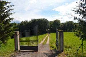 Terreno Magazzino Bosco Loc.Sellano Ponte Tibetano