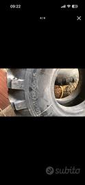 Gomme Ragno