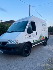FIAT DUCATO 2.8 JTD 128CV