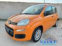 fiat-panda-1-2-gpl-easy-2019