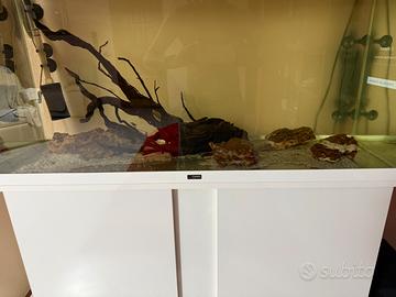 Acquario