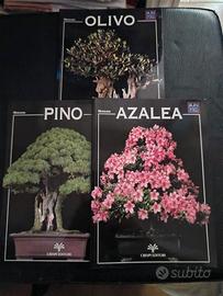 Mini Guide Bonsai Crespi.