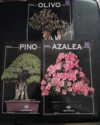 Mini Guide Bonsai Crespi.