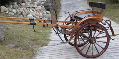 CALESSE , CARROZZA per CAVALLO