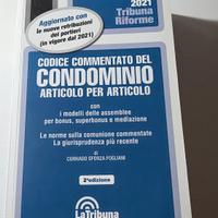 Codice commentato del condominio
