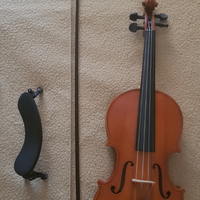 Violino ed accessori