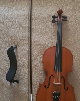 Violino ed accessori
