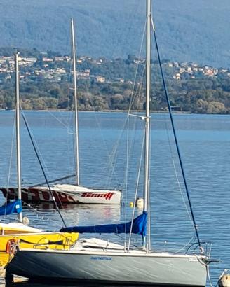 Barca a Vela Raptor Twister 800N