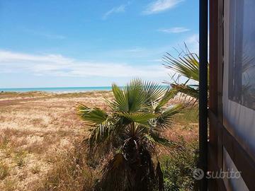 Cocktail bar, caffetteria, ristorante