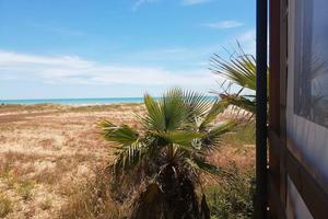 Cocktail bar, caffetteria, ristorante