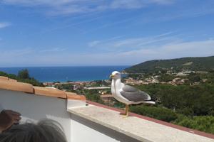 Vendita bilocale in multiproprietà