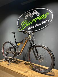 Orbea Rise M Team Custom