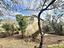 Immagine 25