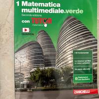 Libro superiori Matematica multimediale verde