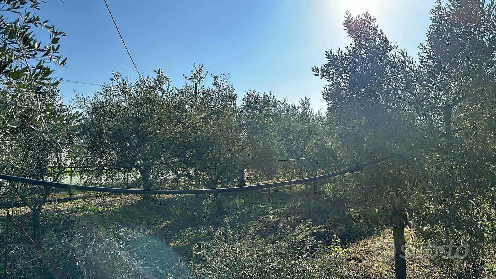 Vendita terreno - Vista 2