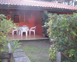 Indipendente bilocale con giardino