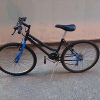Bicicletta raggio 24
