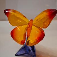 farfalla del paradiso swarosky