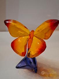 farfalla del paradiso swarosky