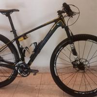 Mtb Focus Raven 29 in carbonio 