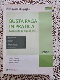 BUSTE PAGA IN PRATICA-Guida alla compilazione 2018