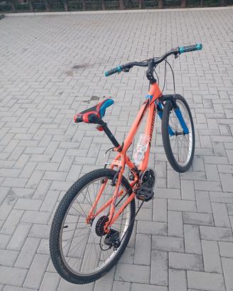 Bicicletta Legnano da 24
