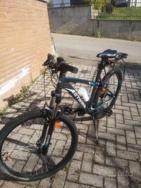 mountain bike