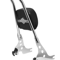 Sissy Bar Rimuovibile Cromato x Sportster HD