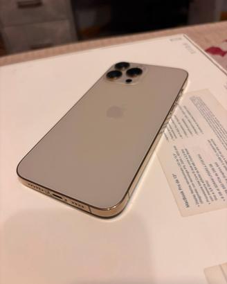 iPhone 13 pro max 256gb
