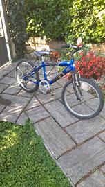 bicicletta da bambino dell 'Inter