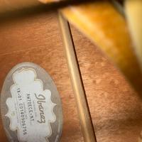 Chitarra alvarez elettroacustica