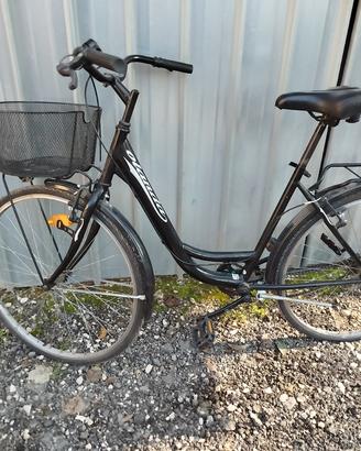  bici passeggio